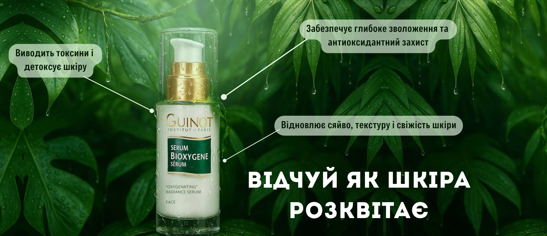 Промо банер